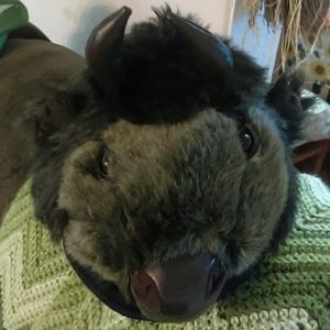 Buffalo Bills NY.....elastic back section